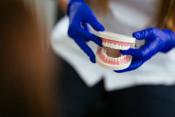 Best Dental Exams and Cleanings  in Warrensburg, MO
